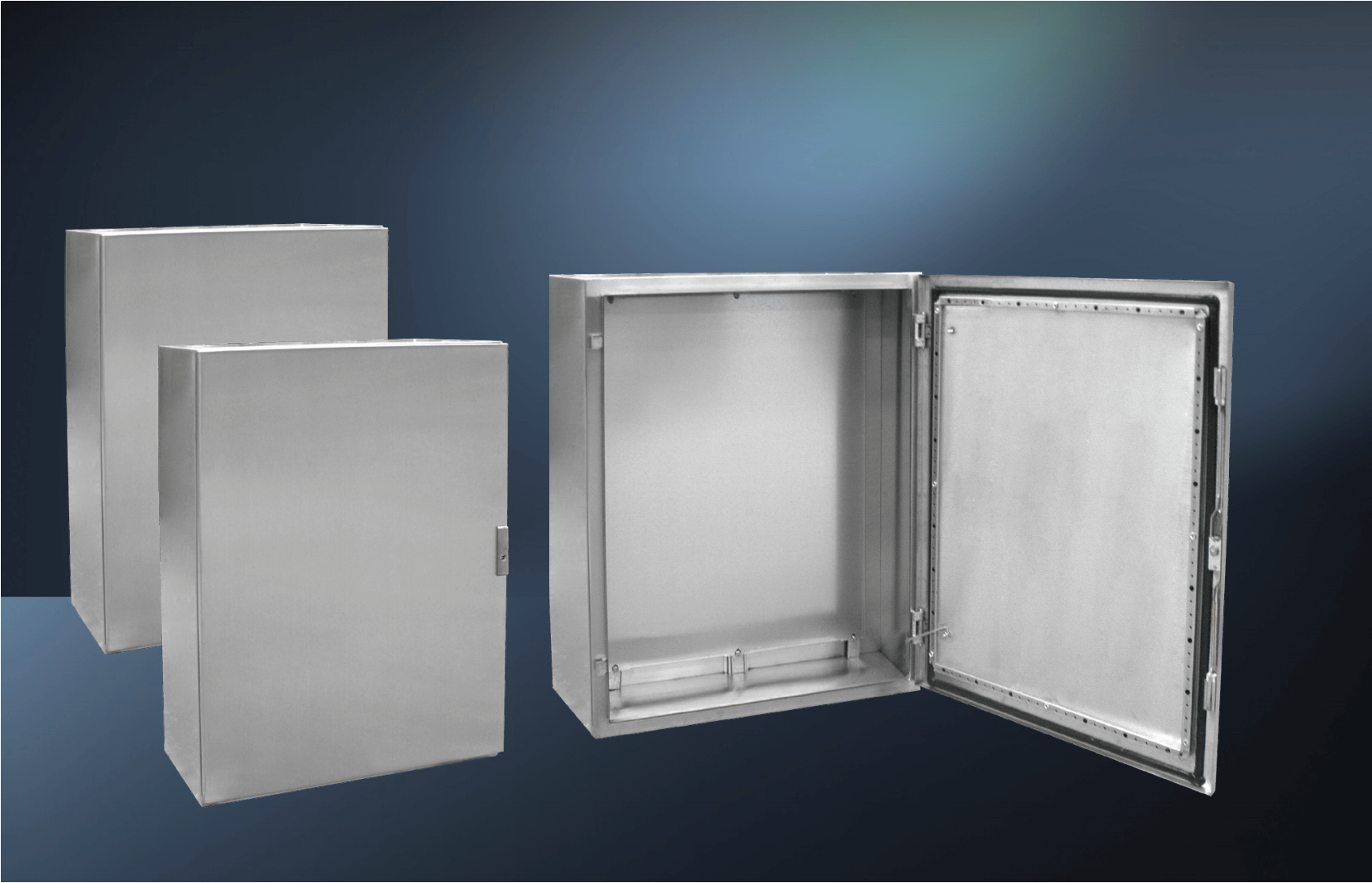 BAK不锈钢豪华立式控制箱系列